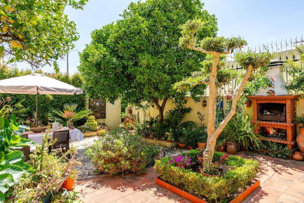 Studio & Garden Lisboa 外观 照片