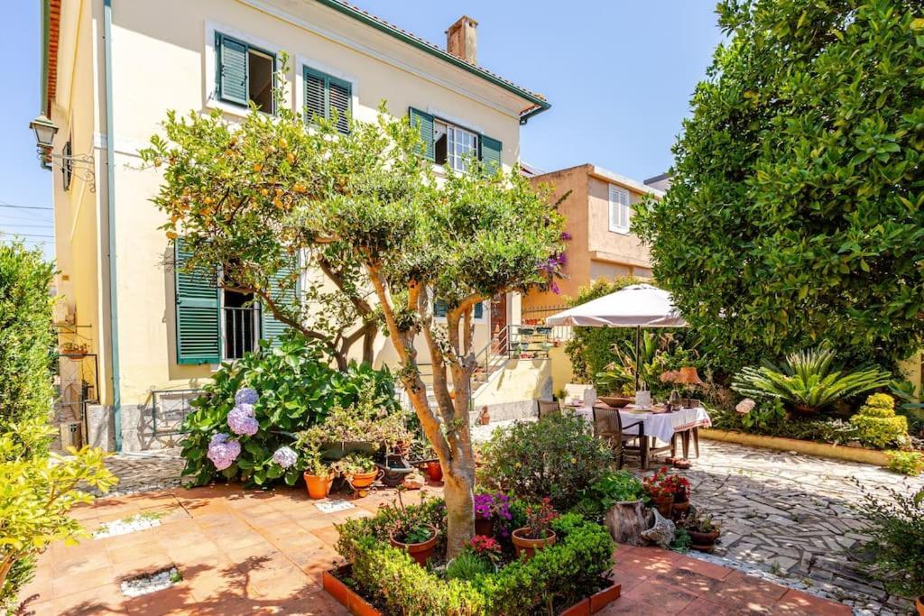 Studio & Garden Lisboa 外观 照片
